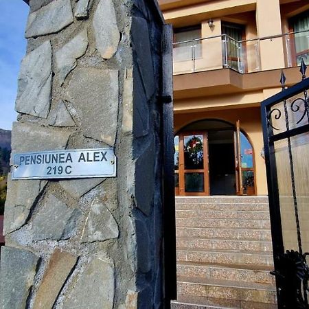 Pensiunea Alex Cheia  Exteriér fotografie