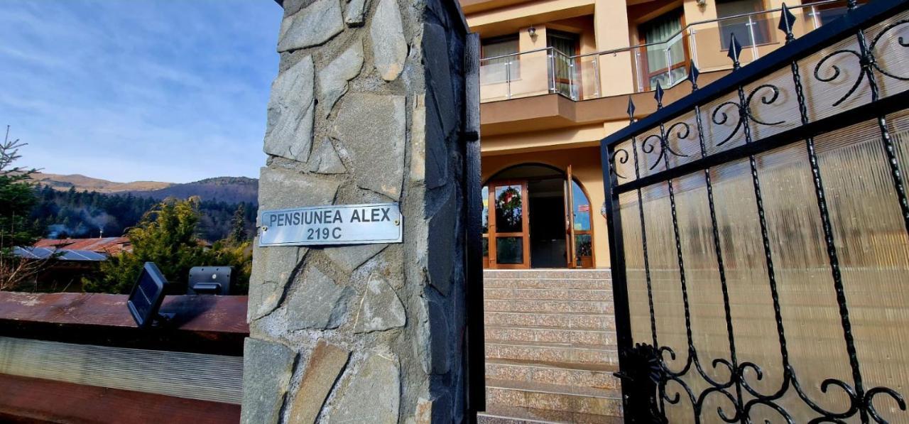 Pensiunea Alex Cheia  Exteriér fotografie